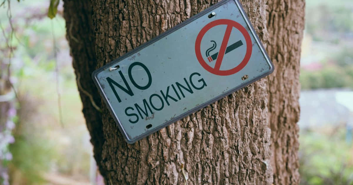 Europas framsteg mot en rökfri framtid: Vit snus roll i minskade rökvanor