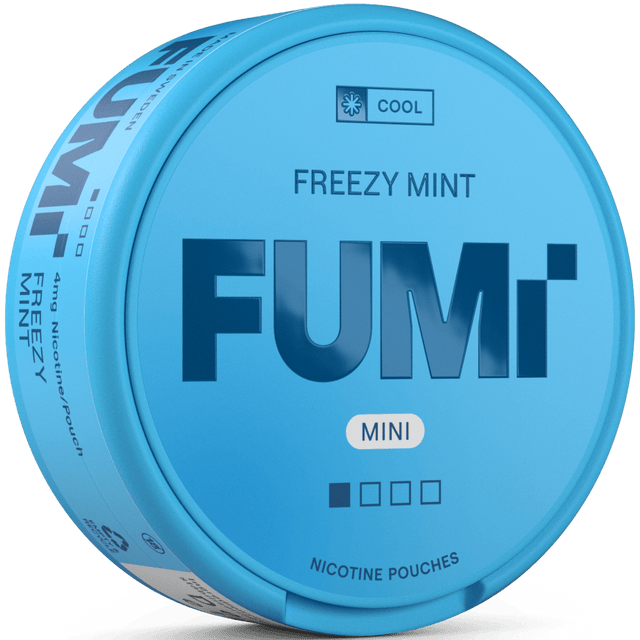 FUMi Freezy Mint Mini Regular bild 1