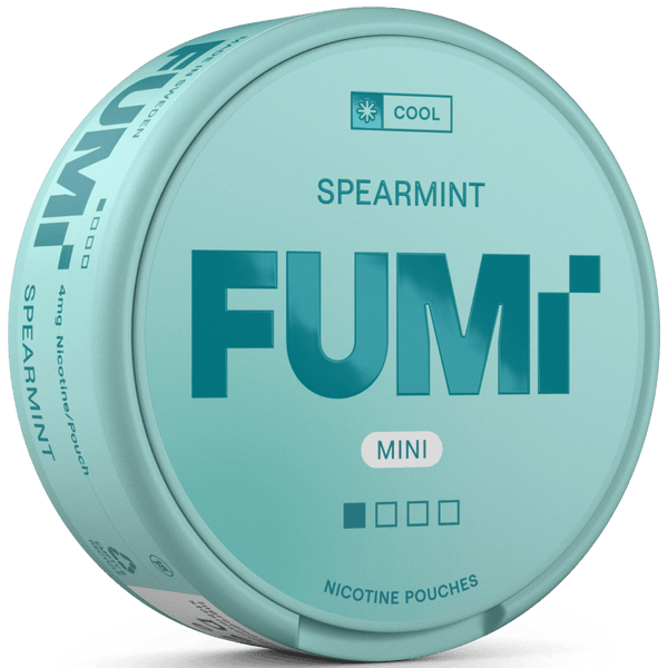 FUMi Spearmint Mini Regular