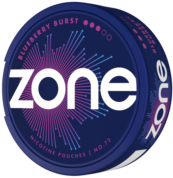 ZONE No. 73 Blueberry Burst 10mg